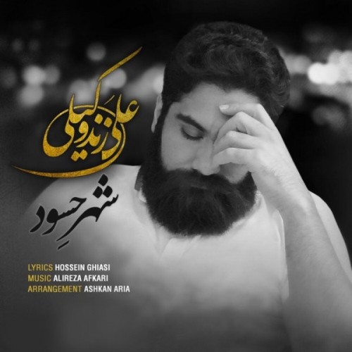 دانلود آهنگ جدید علی زند وکیلی به نام شهر حسود
