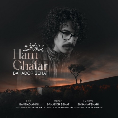دانلود آهنگ جدید بهادر صحت به نام هم قطار