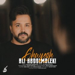 دانلود آهنگ جدید قایق از علی عبدالمالکی