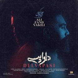 دانلود آهنگ جدید دلواپسی از علی زند وکیلی