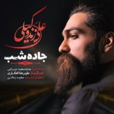 دانلود آهنگ جدید جاده شب از علی زند وکیلی