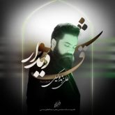 دانلود آهنگ جدید شوق دیدار از علی زند وکیلی