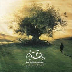 دانلود آهنگ جدید در زلف تو آویزم از علیرضا قربانی