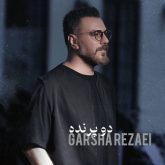 دانلود آهنگ جدید دو پرنده از گرشا رضایی
