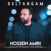 دانلود آهنگ جدید دلتنگم از حسین امیری
