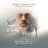 دانلود آهنگ جدید پناه تنهایی من از محمد اصفهانی