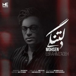 دانلود آهنگ جدید دلتنگی از محسن ابراهیم زاده