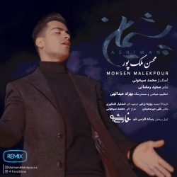 دانلود آهنگ جدید پشیمان از محسن ملک پور