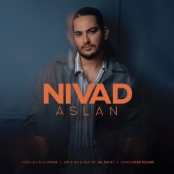 دانلود آهنگ جدید اصلا از نیواد
