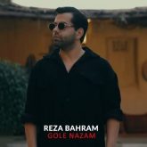 دانلود آهنگ جدید گل نازم از رضا بهرام