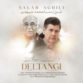 دانلود آهنگ جدید دلتنگی از سالار عقیلی