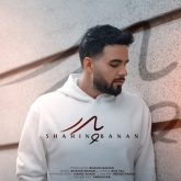 دانلود آهنگ جدید پدر از شاهین بنان