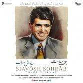 دانلود آهنگ جدید زلف سیاهت از سیاووش سهراب