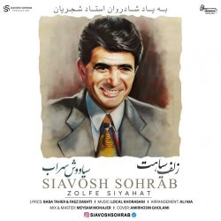 دانلود آهنگ جدید زلف سیاهت از سیاووش سهراب