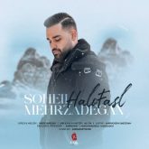دانلود آهنگ جدید حلو فصل از سهیل مهرزادگان