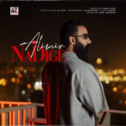 دانلود آهنگ جدید نه دیگه از علی میر