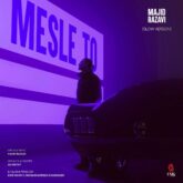 دانلود آهنگ جدید مثل تو اسلو از مجید رضوی