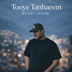 دانلود آهنگ جدید توی تنهاییم از مهدی جهانی